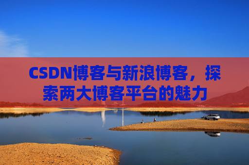 CSDN博客与新浪博客，探索两大博客平台的魅力